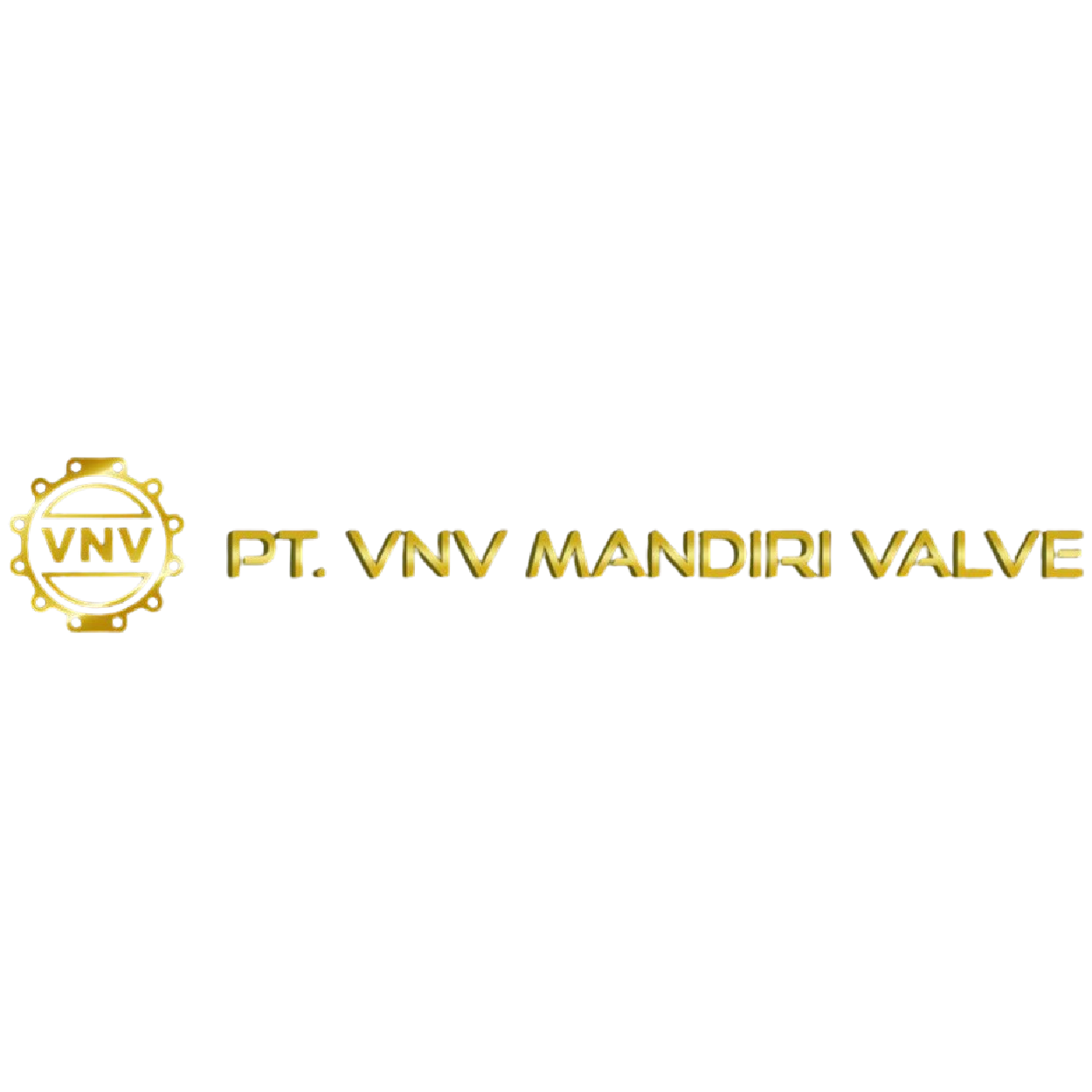 VNV Mandiri, PT-01-01